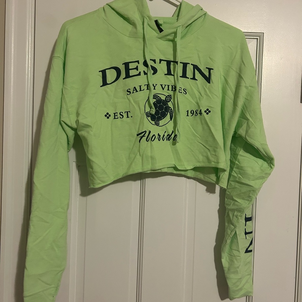 Alvin's Island Mint Green Hoodie